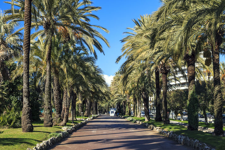 Photo du boulevard de la Croisette à Cannes