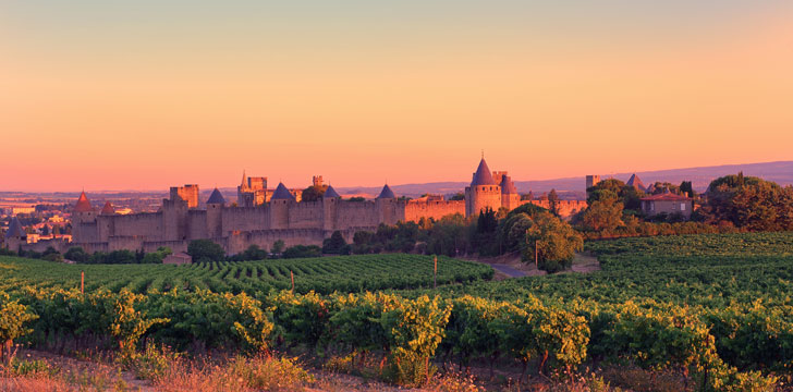 Les vignobles du Languedoc, cité médiévale de Carcassonne