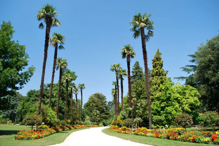 Photo du jardin Massey de Tarbes