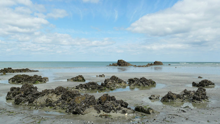 Photo de la réserve naturelle de la baie de Saint-Brieuc