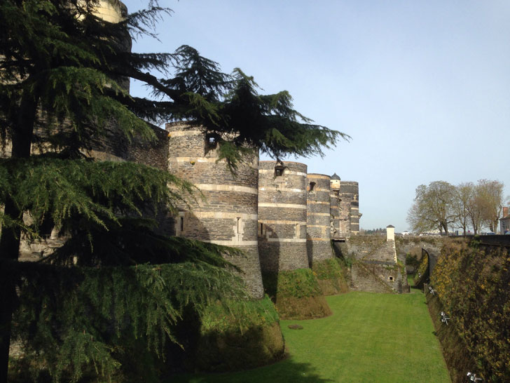 Photo du Château d'Angers