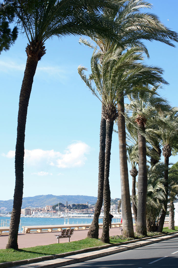 Photo de la Croisette à Cannes