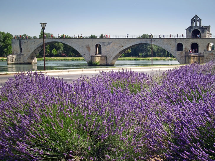 Photo du célèbre Pont d'Avignon