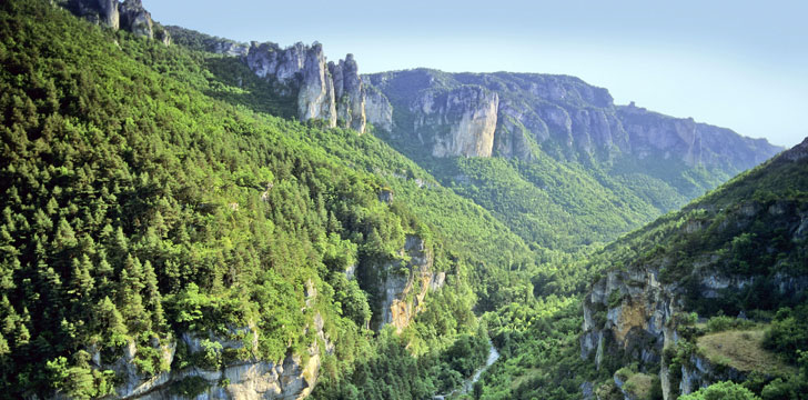 Parc National des Cévennes