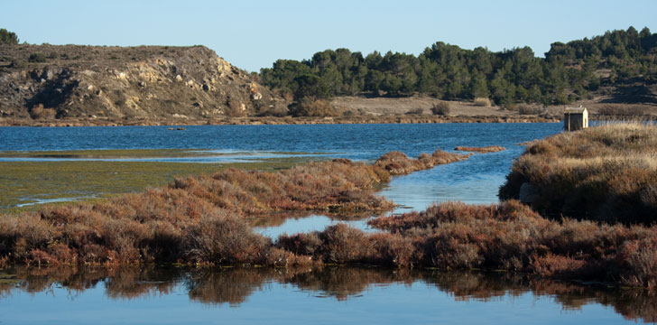 Les lagunes du Parc Naturel Régional de la Narbonnaise