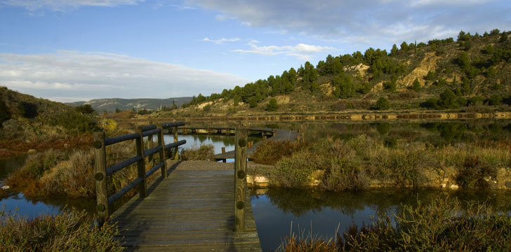 Le Parc Naturel Régional de la Narbonnaise en Méditérranée