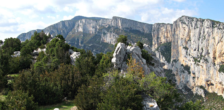 Forêt et montagnes dans le parc naturel régional du Verdon