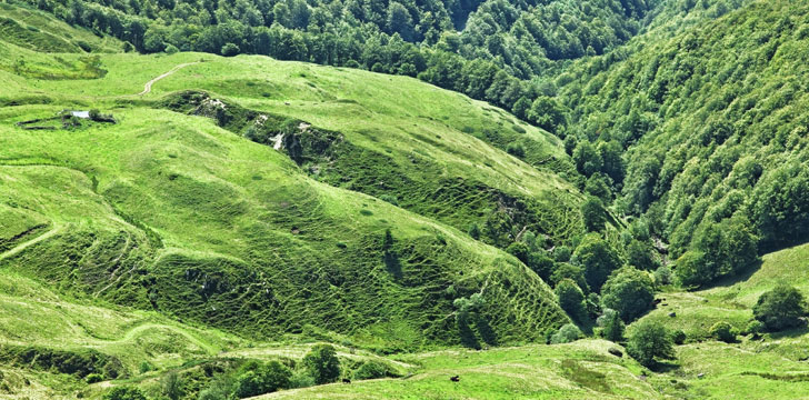 Un plateau volcanique situé entre le Puy Griou et le Puy Mary dans le parc naturel régional des volcans d'Auvergne