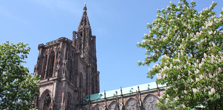 La Cathédrale Notre-Dame de Strasbourg