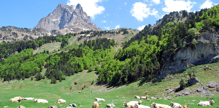 La vallée d'Ossau à Pau