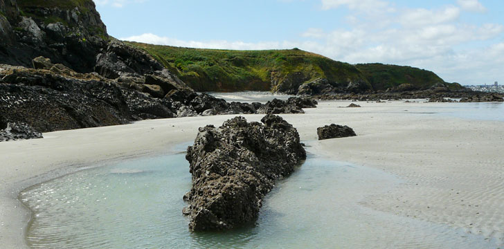 La réserve naturelle de la baie de Saint-Brieuc