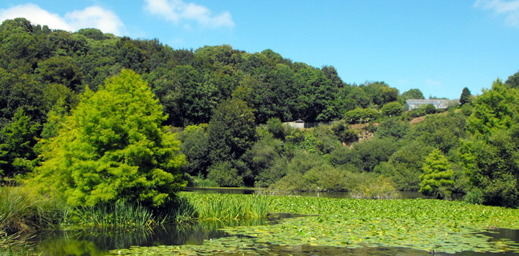 Le Conservatoire Botanique National à Brest