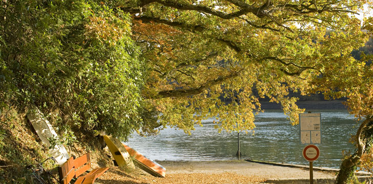 Les bords de l'Odet à Quimper