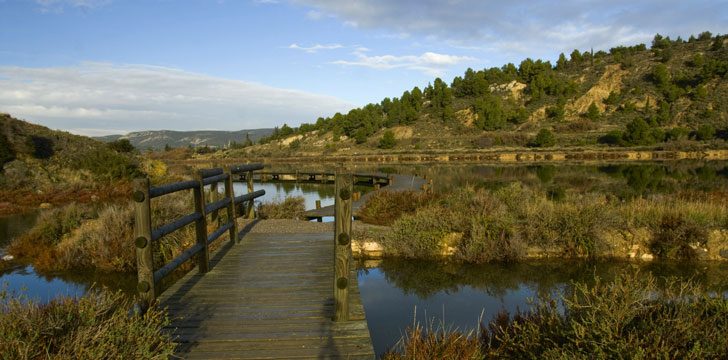 Lagunes à Peyriac-de-Mer dans le parc naturel régional de la Narbonnaise