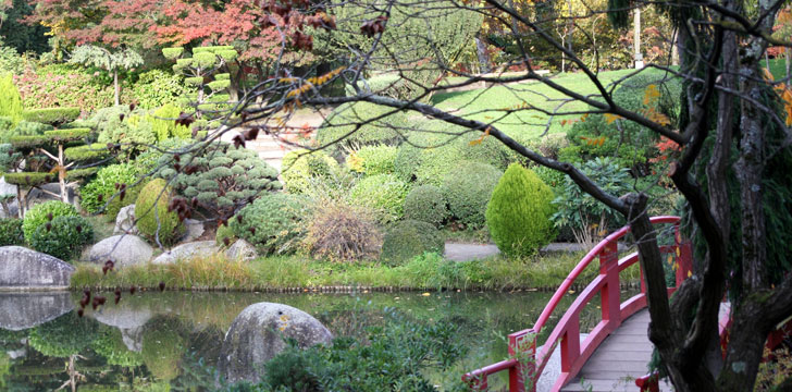 Le Jardin Japonais à Toulouse