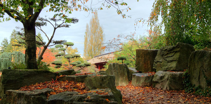 Le Jardin Japonais à Nantes