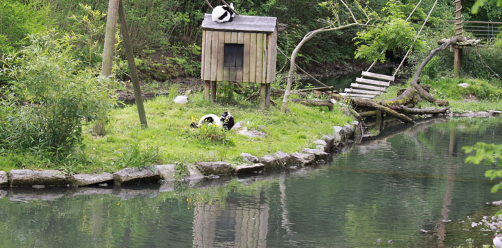 Le zoo d'Amiens