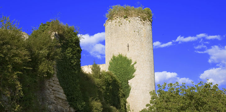 Le château du Coudray-Salbart à Niort