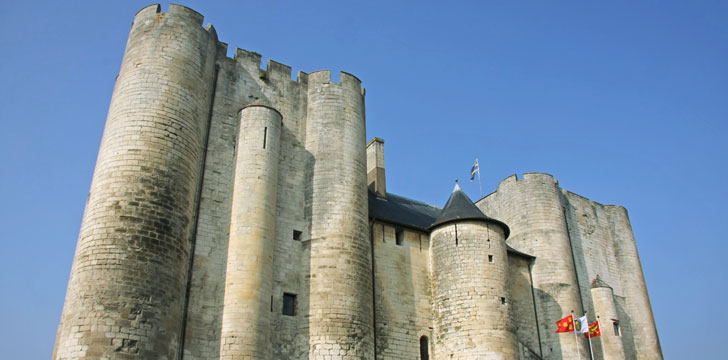 Le Donjon de Niort