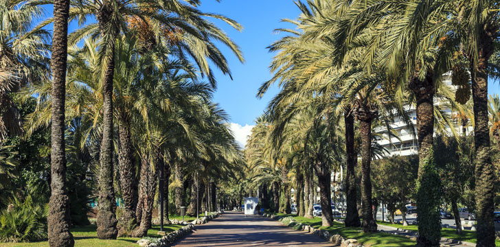 La Croisette à Cannes