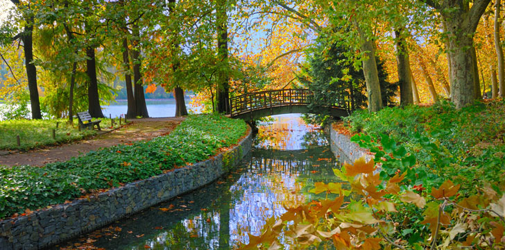 Le Parc de la Tête d'Or à Lyon